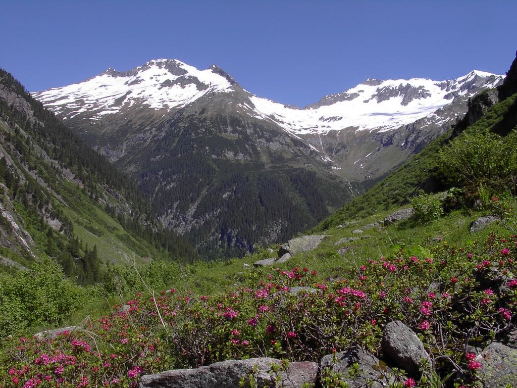 Hotel Maximilian Mayrhofen Exteriér fotografie